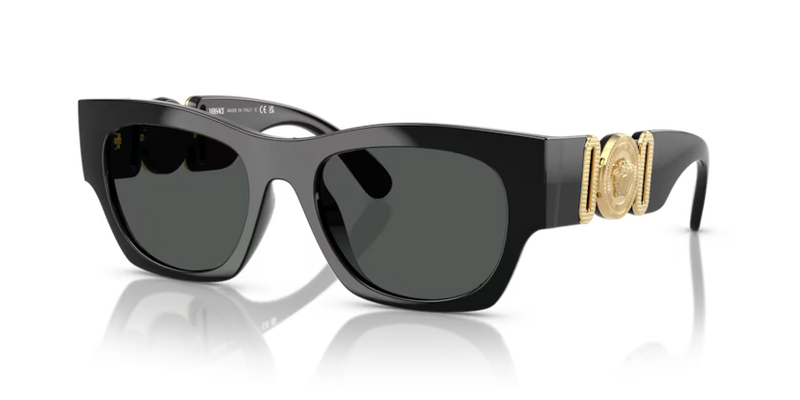 Lunette Versace | Lunette Homme Versace Fashion Greca - 0VE4479U Black